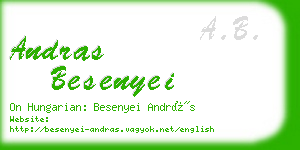 andras besenyei business card